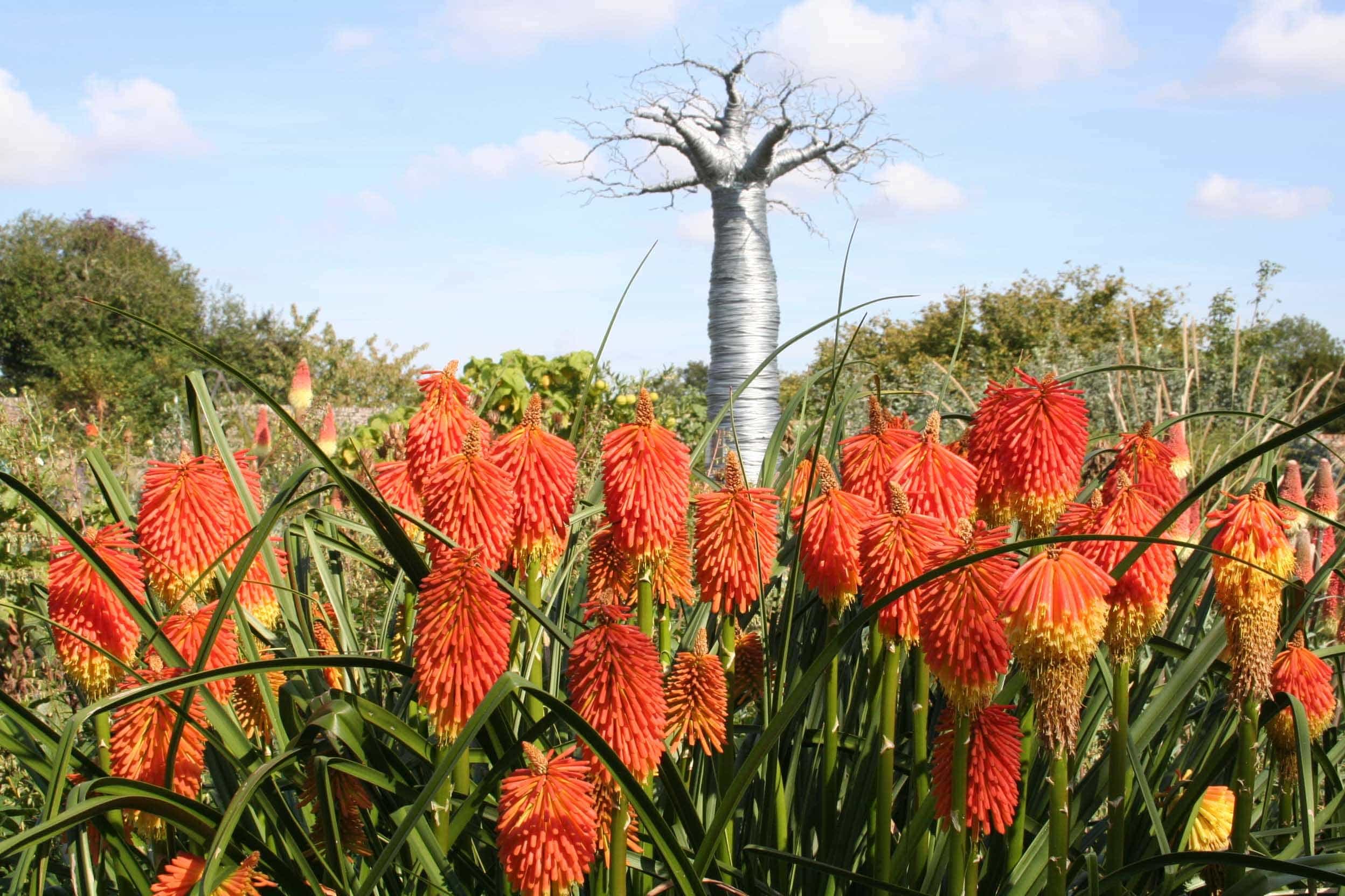 Lullingstone Castle